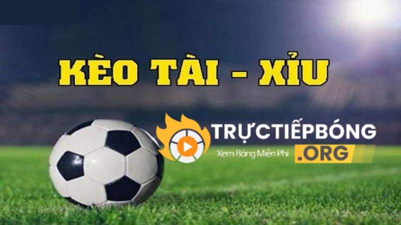 Tìm hiểu về kèo tài xỉu trong bóng đá