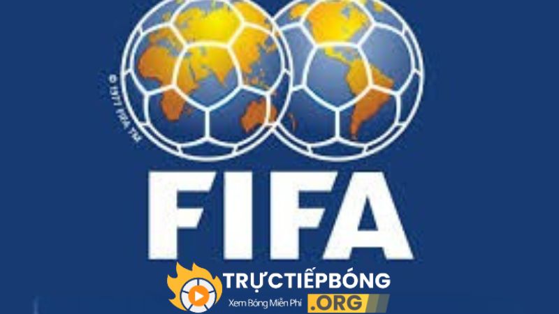 Bảng xếp hạng FIFA sở hữu lượt truy cập đứng đầu hiện nay