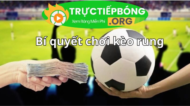 Bí quyết chơi kèo rung chuẩn tăng tỷ lệ chiến thắng Bí quyết chơi kèo rung chuẩn tăng tỷ lệ chiến thắng