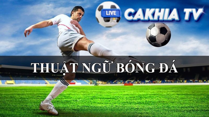 Các Thuật Ngữ Phổ Biến Trong Cá Độ Bóng Đá Các Thuật Ngữ Phổ Biến Trong Cá Độ Bóng Đá