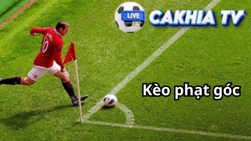 Cách chơi kèo phạt góc và đọc tỷ lệ kèo chính xác Cách chơi kèo phạt góc và đọc tỷ lệ kèo chính xác