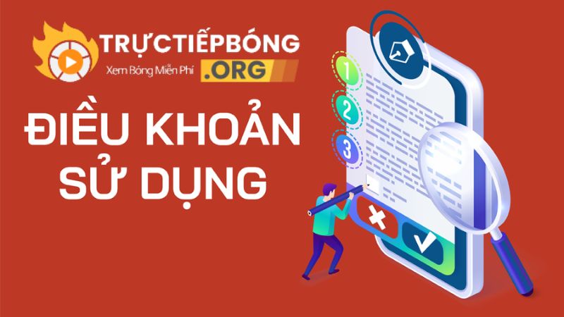 Điều khoản về thông tin dữ liệu trên web
