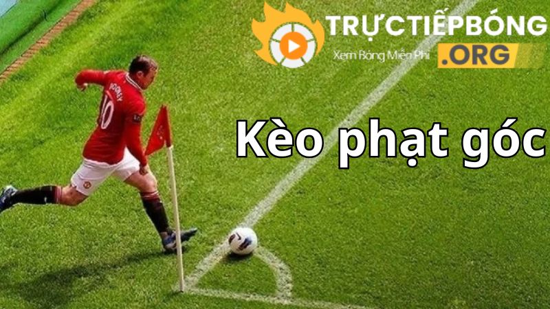 Hướng dẫn chi tiết về kèo phạt góc và tỷ lệ kèo cược