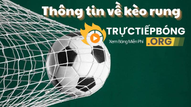 Hướng dẫn chi tiết về kèo rung và tỷ lệ kèo Hướng dẫn chi tiết về kèo rung và tỷ lệ kèo