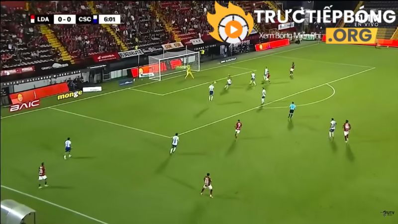 Kết hợp phân tích sau trận đấu đấu hấp dẫn