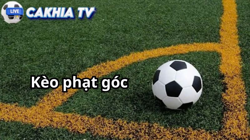 Kinh nghiệm chơi kèo phạt góc từ chuyên gia Kinh nghiệm chơi kèo phạt góc từ chuyên gia