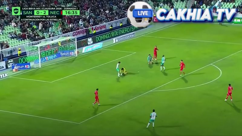 Hình ảnh sắc nét, chi tiết rõ ràng