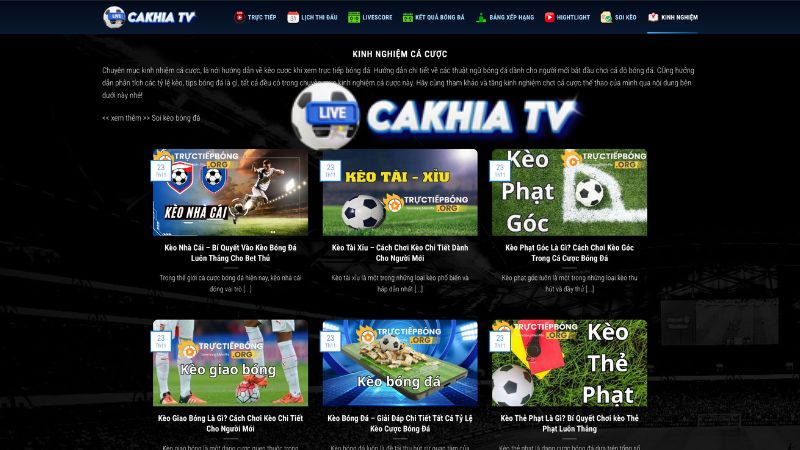 Hướng dẫn thuật ngữ và kiến thức kèo bóng đá