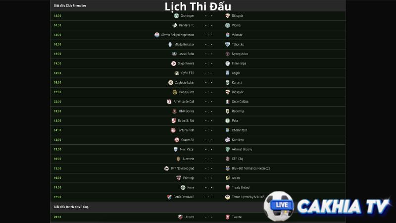 Thông tin mở rộng cho từng giải đấu Tại Cakhia TV